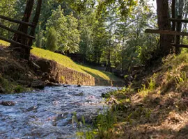 Environmental Remediation & Waste Management