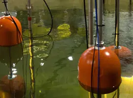 Deactivation, Decommissioning & Decontamination